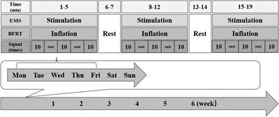 The effect of blood flow restriction training combined with electrical muscle stimulation on neuromuscular adaptation: a randomized controlled trial